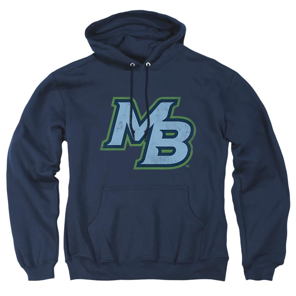 LOGOVISION Official Collegiate Distressed Primary Logo Adult Pullover Hoodie Collection — view 132