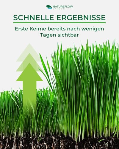 Rasensamen schnellkeimend Herbst 1kg 40qm - TEST SEHR GUT - Schnell wachsende Rasen Nachsaat Made in Germany - Premium Grassamen schnellkeimend - Rasensaat für sattgrünen Traumrasen