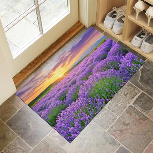 Tapis d'entrée avec microfibres douces pour couloir et maison - 2