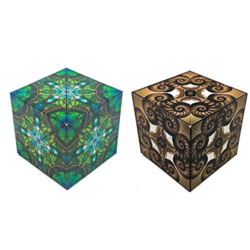 Preisvergleich Produktbild GeoBender Cube - das komplexe magnetische 3D Puzzle - Surfer + Nautilus