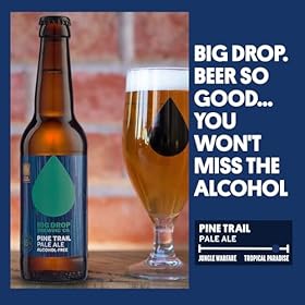 Big Drop Pine Trail Pale Ale - Naturally Brewed Alcohol Free Pale Ale with a Citrusy Bite - Vegetarian & Gluten Free (12 x 330ml Bottles) – Big Drop Brewing