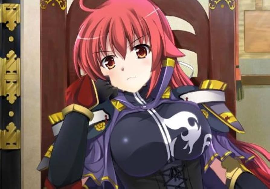 プレイステーション2 戦極姫 などソフト6本 攻略本2冊付き 中古 プレイステーション2 戦極姫 などソフト6本 攻略本2冊付き 中古