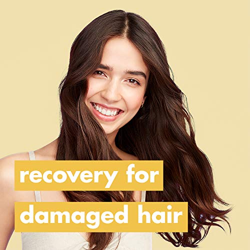 Love Beauty And Planet Hope And Repair Shampoo And Conditioner Dry Hair And Damaged Hair Care Coconut Oil And Ylang Ylang Paraben Free, Silicone Free, And Vegan, 13.5 Fl Oz (Pack Of 2) #TOP2