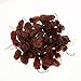 4oz Dried Habanero Peppers by 1400s Spices