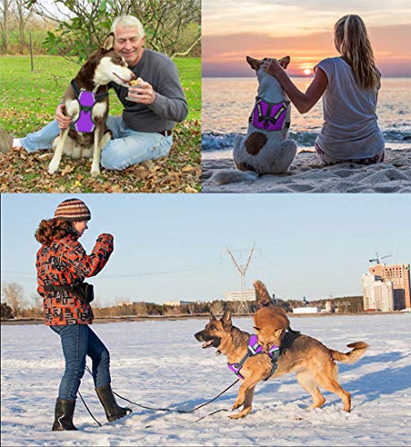 Lmobxevl Service Dog Harness,No-Pull Dog Harness With Handle Adjustable Reflective Pet Dog In Training Vest Harness,Easy Control For Small Medium Large Breed Outdoor Walking Hiking #TOP6