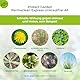 PROTECT GARDEN Permaclean Express Unkrautfrei AF, anwendungsfertiger Unkrautvernichter mit schneller Wirkung gegen Unkräuter und Ungräser, 5 Liter Fertigformulierung