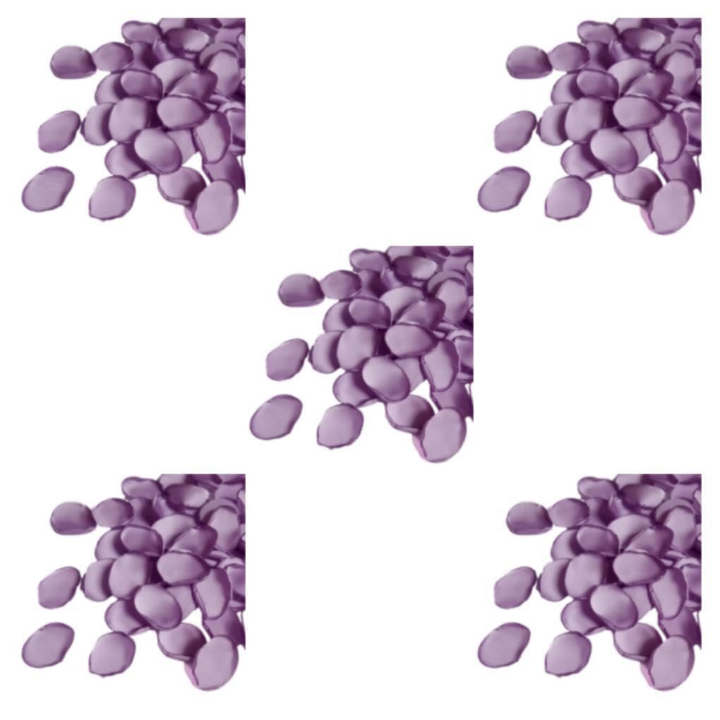 5 Set di di Petali di Rosa di Seta Finti per Decorazioni di Nozze Colori Fai da Te Ecologico Ecologico Riutilizzabile di Fagioli Viola Tinta Unita