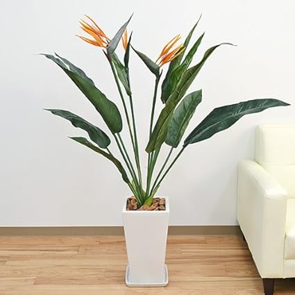 Amazon 人工観葉植物 ストレリチア レギネ 花付き スクエア陶器鉢付き 光触媒加工 フラワーコーポレーション 人工観葉植物