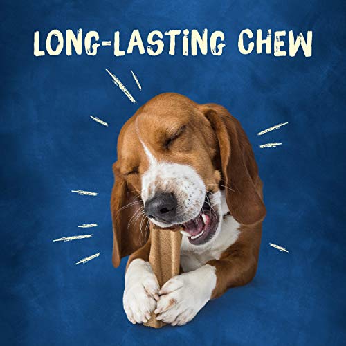 Purina Busy Made In Usa Facilities Small/Medium Dog Bones, Original - 6 Ct. Pouch #TOP2