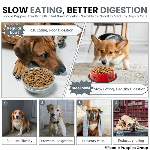 Image of Foodie Puppies Stainless Steel Dog Bowl Combo - (Medium, 700ml) Food and Water Feeding Gift Bowl | Suitable for Dogs, Cats and Other Pets I Paw Bone Print, Anti-Skid Rubber Base (White + Red)