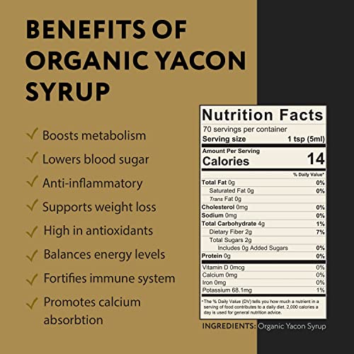 Organic Yacon Syrup By Ganic Food | Low Calorie, Natural Sweetener Rich In Prebiotics & Antioxidants | Low Glycemic Index, Gluten-Free, Keto-Friendly, Vegan | Usda Organic | 12 Oz Bottle #TOP2