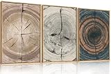 DRACIT Vintage Beige Tan Tree Ring Framed Canvas Wall Art Set,Modern Neutral Gray Wood Stump Wall Decor,Rustic Wooden Tree Spiral Artwork for Living Room,Bedroom,Farmhouse-24 x36 x3