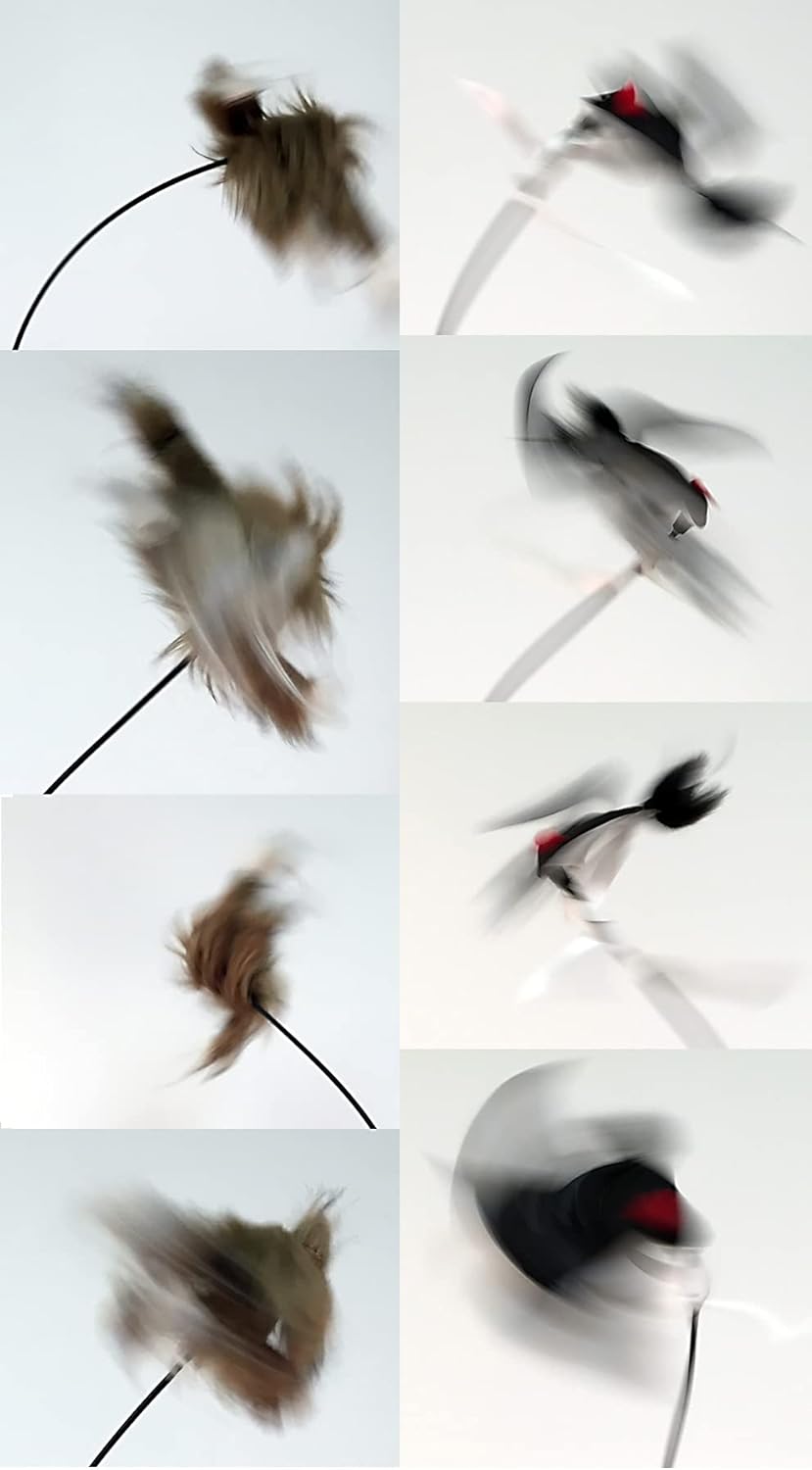 Icotec Nomad+ Programmable Predator Call/Decoy Combo with Bluetooth - 165 Professional Sounds Included - Plays 2 Sounds simultaneously - Holds up to 2,000 Sounds - Pristine Sound Quality - Image 5