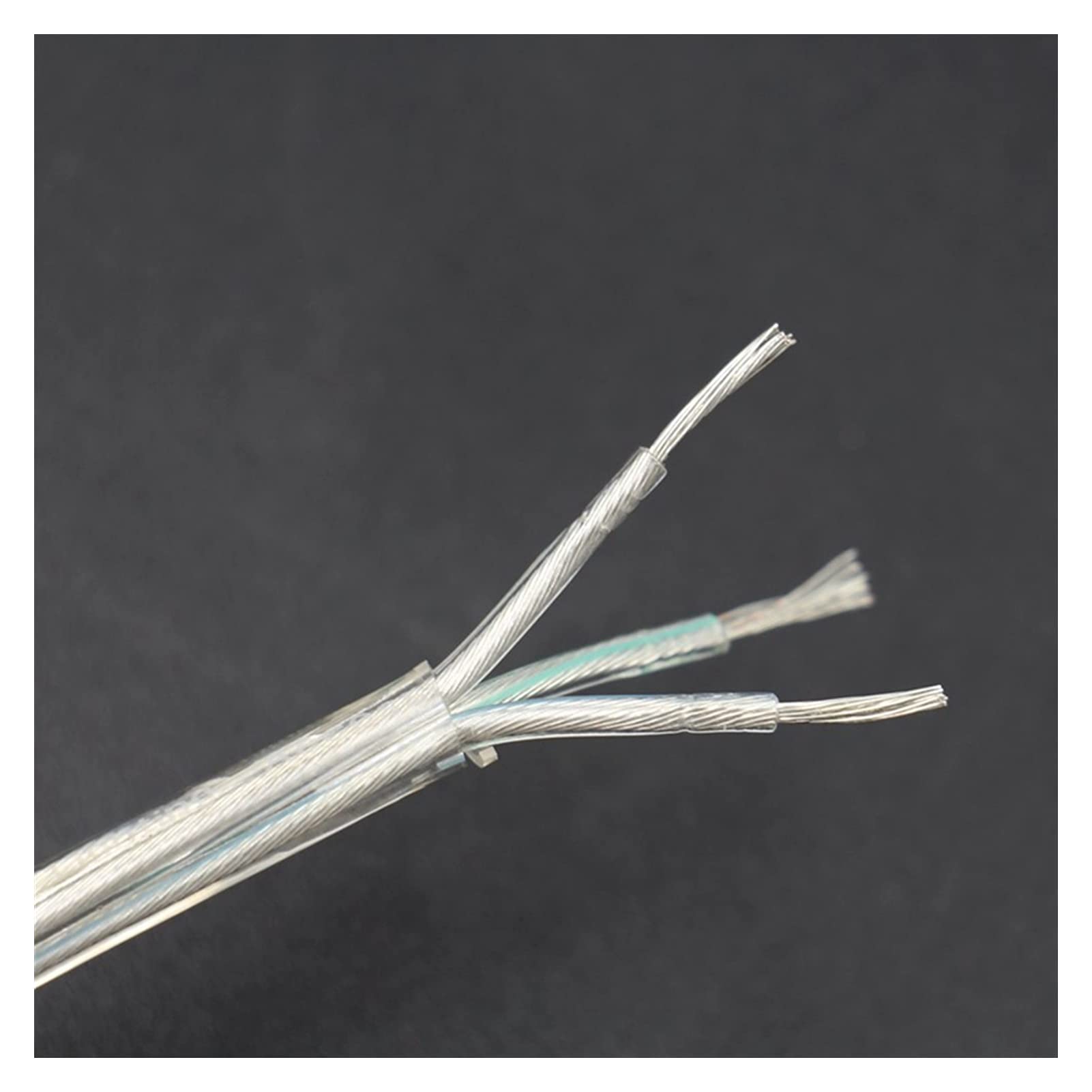 Cavo Elettrico, Cavi Elettrici Cavo elettrico trasparente PVC Clear Round Cable 2 Core 3 Core 0,75mm2 Cavi di alimentazione per cavo luminoso(2 Core Round,20m)