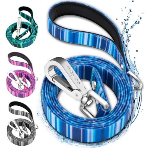 Waterproof Dog Leash for Rain