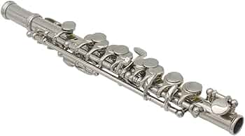 51lykAY1mjL._AC_UF350,