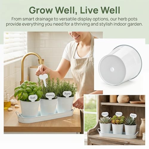 Image of Hiceeden Set of 3 Herb Garden Planter with Labels, Indoor Herb Pots with Drainage Holes, Metal Herb Garden Set with Tray for Windowsill or Countertop, White