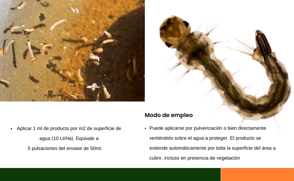Liquido larvicida anti mosquitos I Elimina larvas y pupas de mosquitos I control en aguas estancadas, residuales, para superficies aquaticas I SIN BIOCIDAS