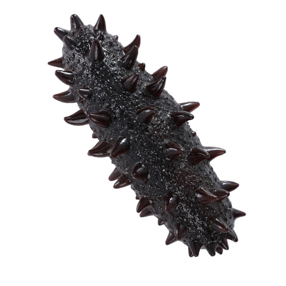 Abaodam Cognitive Development Toy Decorative Sea Cucumber Model Realistic Seafood Prop
