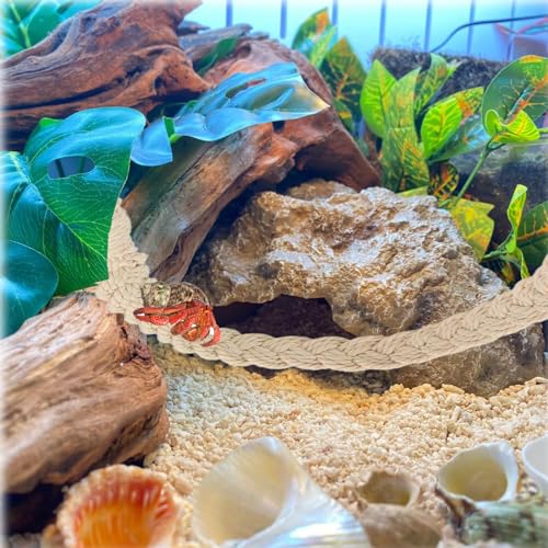 Image of Hermit Crab Climbing Toys, Hermit Crab Supplies Tank Terrarium Accessories, Habitat Decor for Tree Frogs,Crested Gecko Lizards Geckos Snakes