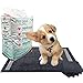 MES LOULOUS Tapis éducateur propreté Pipi Popo Chien Charbon de Bambou 60X40 cm absorbe Odeur Pipi Chiots Wee Wee Pad éducation Canine litière Grande Absorption (Taille Moyenne)