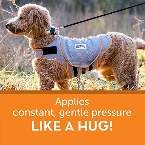 Thundershirt Dogs Clothing Thundershirt Dog Anxiety Jacket, Platinum, X-Large Us #TOP2