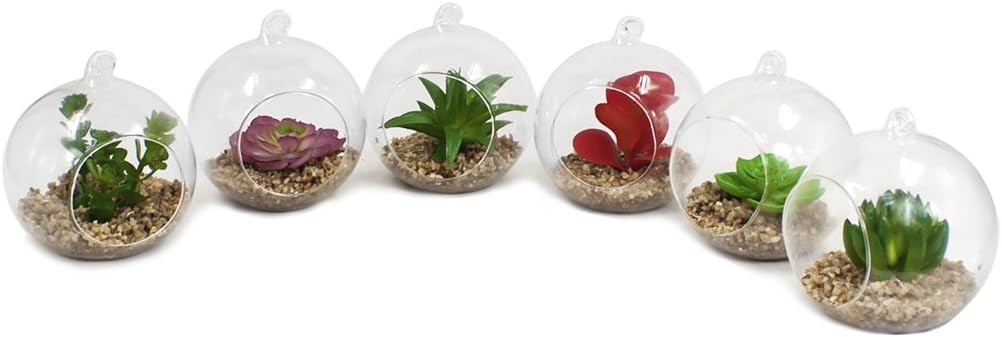 Dahlia Set of 6 Artificial Mini Succulent Potted Plant in Glass Globe Flower Pot Planter - Set A