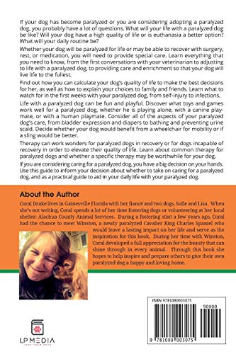 Guía para perros paralíticos en casa: cómo pasear y vivir con un perro discapacitado feliz 3