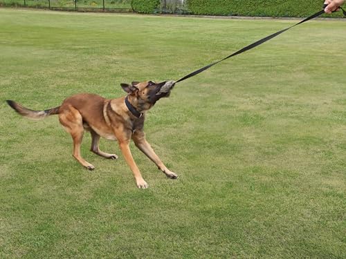 Dingo Hundespielzeug Kunstfell mit Quietsch Pelz Lange Schwarz Bungee-Griff Beisswurst Mop Hundetraining Spiel mit Hund zum Tauziehen Fleece 15585