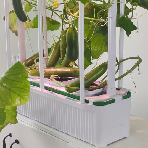 Complete Indoor Hydroponic Grow Kits For Sale | The Bud Grower