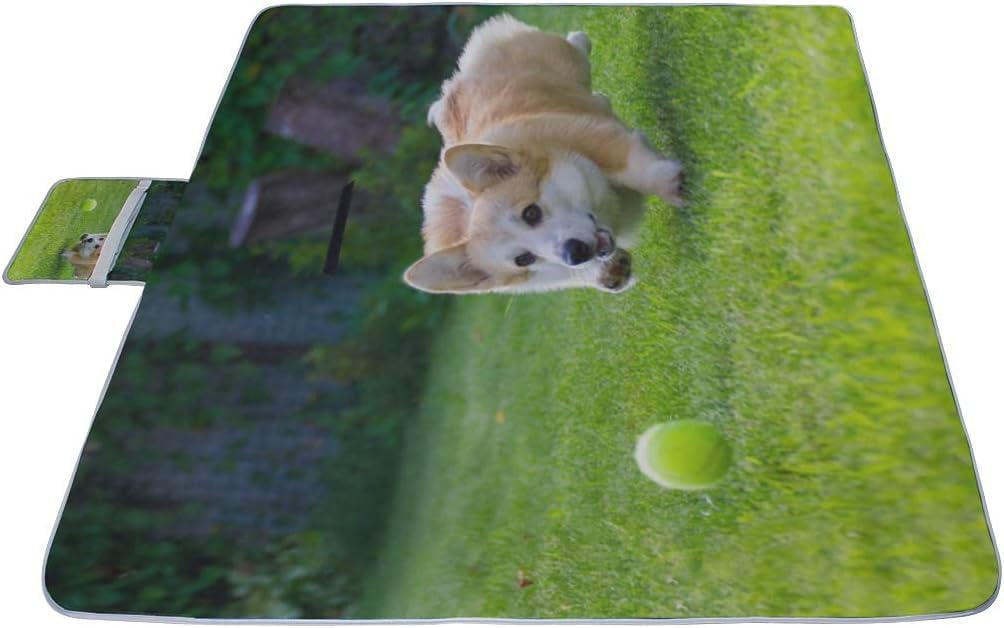 レジャーシート すばしこい コーギー ピクニック 折りたたみ 撥水 アウトドア クッション マット コンパクト 花見 運動会 キャン