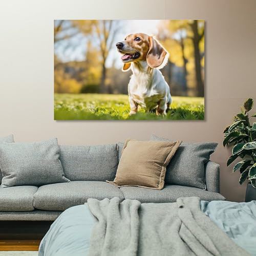 Impression sur toile teckel 60x90cm pour decoration murale esthetique