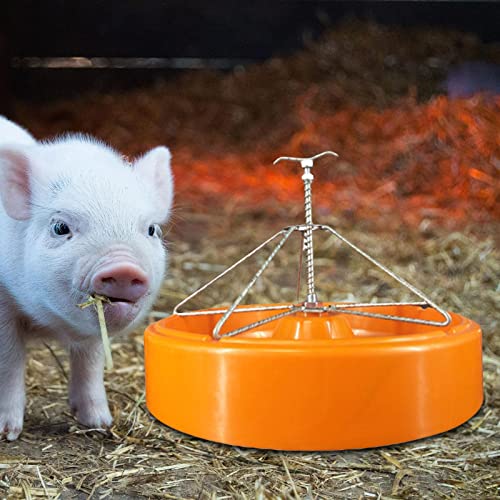 Mangeoire pour porcs avec bac à eau robuste à 5 zones
