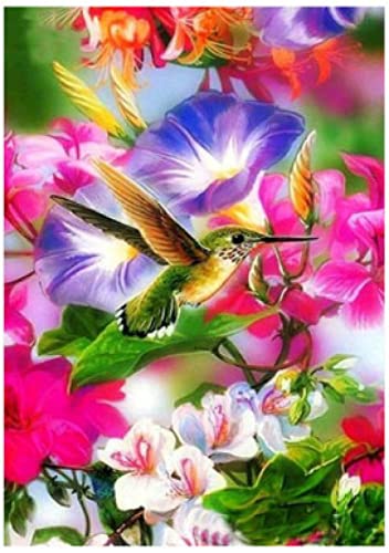 Broderie diamant colibri 5D kit complet cadeau anniversaire idéal