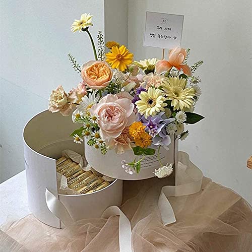 Image of Oasis Paper Gift Box Round Shape Two Tier Empty, Decorative, Reusable, Multipurpose Birthday, Anniversary, Wedding, Return Gifts Hamper Packaging (Set of 1) White