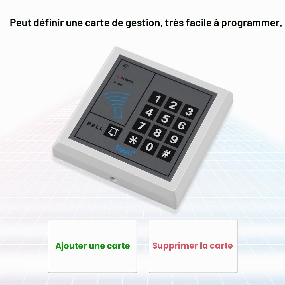 Tuya Kit de système de contrôle d'accès WiFi Intelligent, Clavier de contrôle d'accès à Distance pour 1 000 utilisateurs, Comprend Une Serrure magnétique de 280 kg, Un Clavier de contrôle