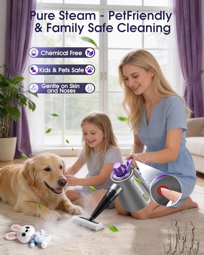 Industrial Steam Cleaner for Home