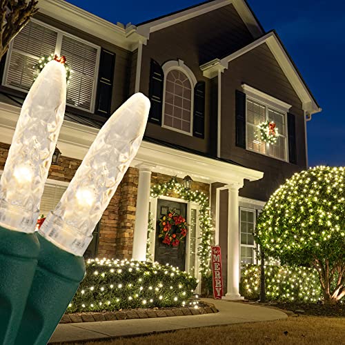Wintergreen Lighting Set of 100 Warm White LED Christmas Net Lights, Outdoor Christmas Decorations, Green Wire (4 x 6 ft, M5 Lights, LED Warm White)