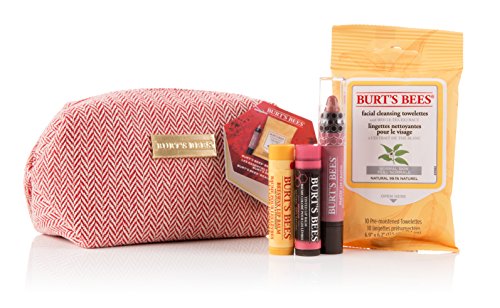 Burt Bees Burt Bees Burt beauty Basics Gift set