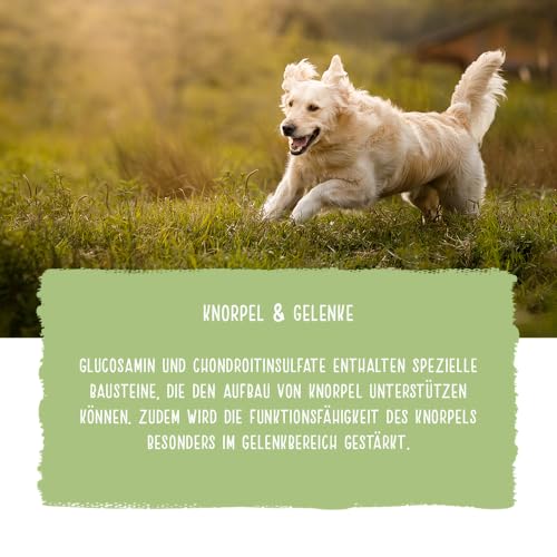 Chicopee Classic Nature Line | Sensitive | Hundefutter trocken | Mit Ente & Reis | Weizenfrei | Bedarfsgerechtes Life-Cycle-Konzept | Inspiriert von der Natur Kanadas | 2 kg