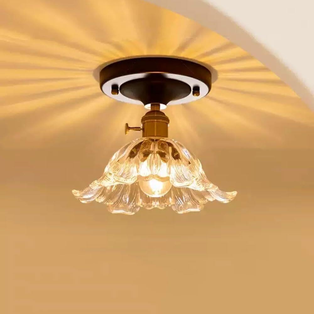 Lampada da soffitto for Ingresso con Paralume in Vetro Semplice