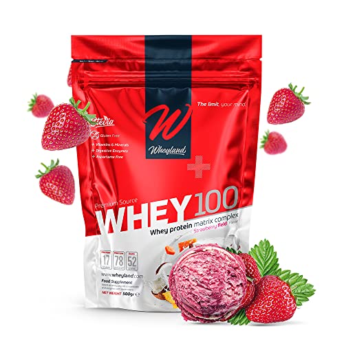 WHEYLAND WHEY100 PROTEINA CONCENTRADO SUERO DE LECHE COMPLEX 500GR Strawberry Field CFM Cover