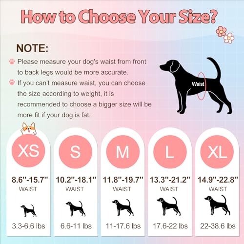Image of Ambreview Disposable Dog Diapers Female, Just Pull It Up, XS 100 PCS | Doggie Diapers for Female Dogs • Strong Absorbency • Leak-Proof Protection • Ideal for Dogs in Heat, Senior & Disabled Dogs