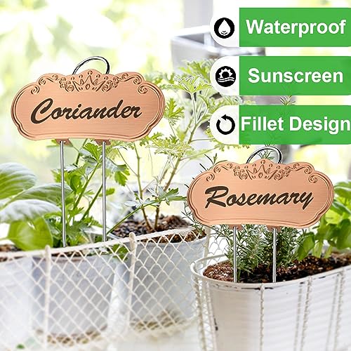 Metal Plant Labels,Tall Outdoor Garden Markers for Flower, Fruit and Vegetable, 304 Stainless Steel Weatherproof Signs (25 Packs, 4" x 1.9", Gold)