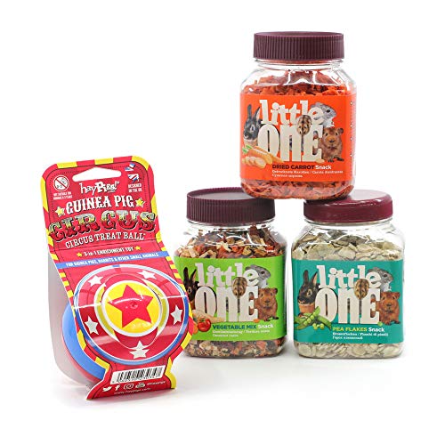 HAYPIGS Circus themed TREAT BALL with 3 x Little One Variation Snacks - 3-in-1 Enrichment Toy - Rabbit Toys - Hamster Toys - Guinea Pig Toys - Small Animal Boredom Breaker โ image 1
