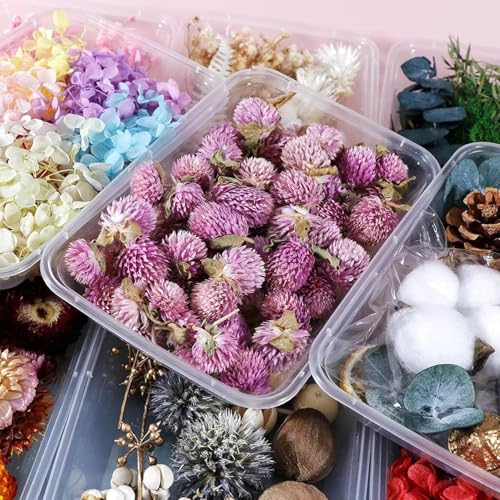Caja de flores secas para velas y decoración miniatura 5