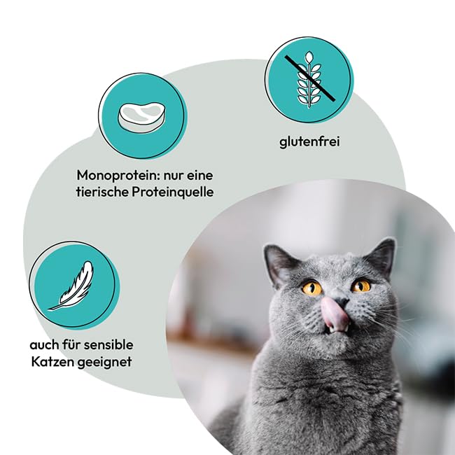 GRAU – das Original – Nassfutter für Katzen - Lamm mit Vollkornreis, 6er Pack (6 x 400 g), glutenfrei, für Erwachsene Katzen