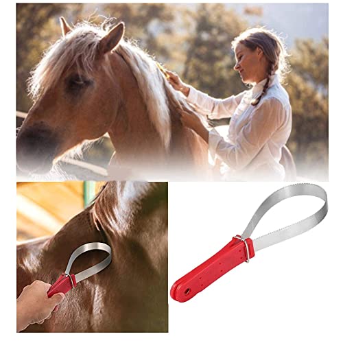 Schweißmesser für Pferde,Schweißmesser mit Zacken, idealer Metallstriegel zum Abziehen von Schweiß, Wasser & Zacken zur Reinigung von Schmutz und losen Haaren zur Fellpflege 29,5 cm