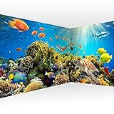 artgeist Wall Mural Underwater World 212x98 in - XXL Peel and Stick Self-Adhesive Corner Wallpaper Removable Large Sticker Foil Angle Wallpaper Wall Decor Print Ocean Fish Aquarium b-A-0002-a-b