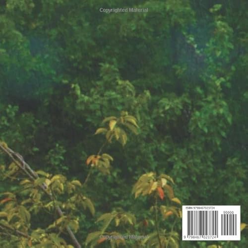 image for Guest Book: Funeral Guest Book Cardinal, Memorial Service Guest Book, 